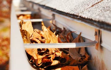 Weston Common gutter cleaning companies
