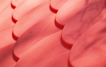 Weston Common plastic roof costs