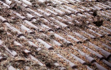 Weston Common roof cleaning companies