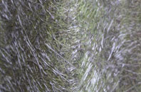 Weston Common fibreglass roof work